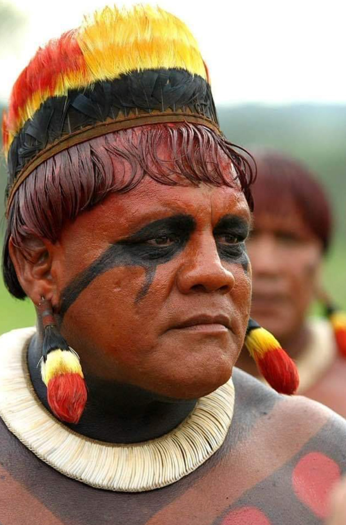 Indigena